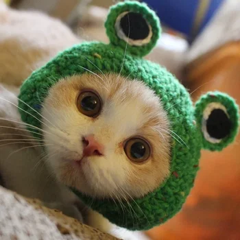 Вязаная шапка ручной работы для кошек и собак, милый головной убор в форме лягушки, забавная фотография