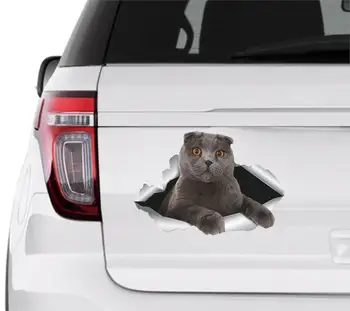 Шотландская наклейка Шотландская наклейка на автомобиль Британская кошка Наклейки на автомобиль для кошек Наклейка для планировщика наклейка для кошек Виниловая наклейка для автомобильных аксессуаров Серый кот